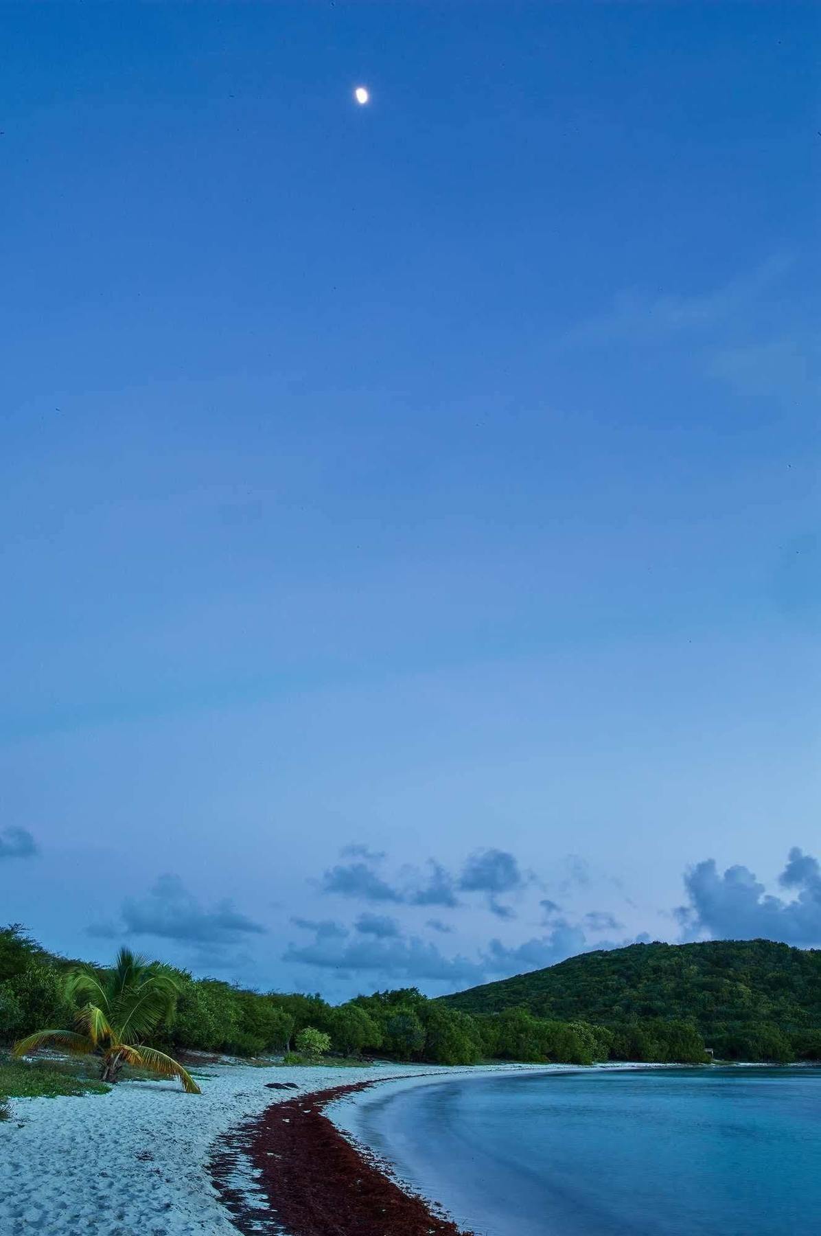 Concordia Eco Resort Exterior foto
